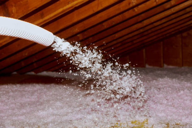 Best Eco-Friendly Insulation in Bloomingdale, GA