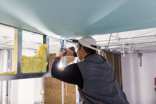 Best Residential Insulation in Bloomingdale, GA