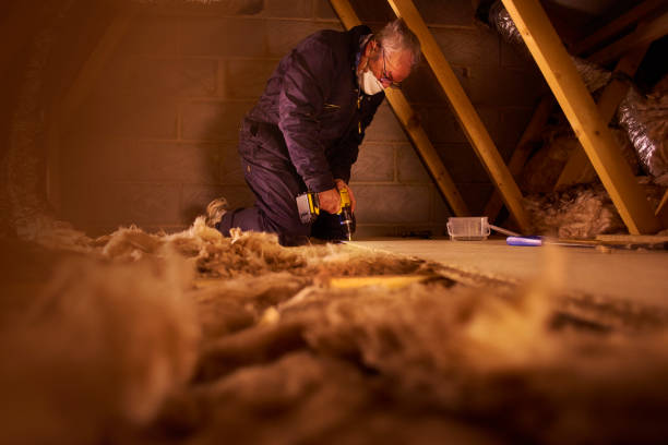 Types of Insulation We Offer in Bloomingdale, GA